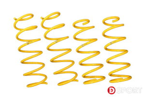 D-SPORT X-SPEC Spring _Cnc bL[ A210Sp (48131-B310)ytgAbvTXzyԃp[czDX|[c XXybN XvO