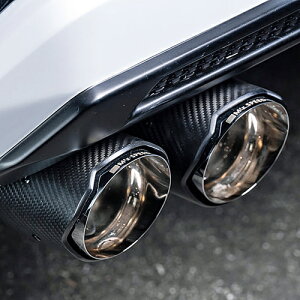 M'z SPEED LUV LINE Exhaust System g^ hN[U[ 3.3L fB[[ 3DA-FJA300Wp J[{e[i2312-0145-02jy}t[zyԃp[czGYXs[h C GL][XgVXe