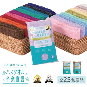 VF@oX^IƐ錾@@̎@ڂ^I33cm×100cm@Ags[EiF@GRebNXX|[c@W@s@gx@z@{@Y@S@{^I