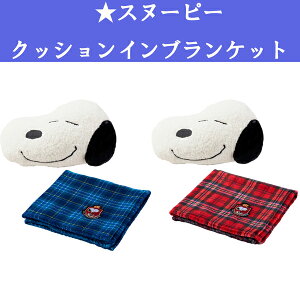 Xk[s[@NbVINuPbg@70cm×100cm|GXe100@@y@RpNg@NbVP[X@PwuPbg@