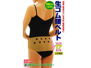 {@xg@jp@M@L@LLVRS@100@@Ch@17cm@ْ̍fvX|[cI@p@@MbN@Ɂ@d@^]@ߗ\h@ی@Ջ@R