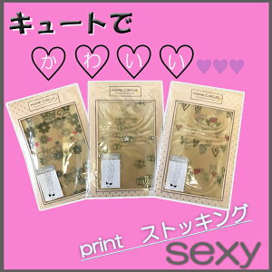 ؍@@RpjI@ZNV[^Cc@r@vgXgbLO3Zbg@A^I1@ύX@܂@^gD[@XgbLO؍qɑlCII@