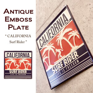 y JtHjA z AeB[N G{X v[g CALIFORNIA Surf Rider