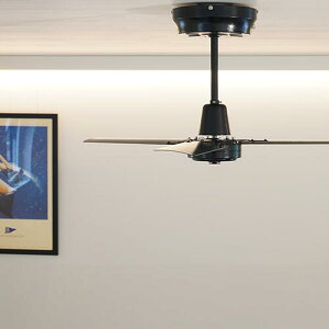 MONICA CEILING FAN jJ V[Ot@