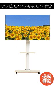 erX^h er LX^[t  zCgǊ 32~65C`Ή VESAKi ω׏d40kg  E35°U\ PETOOP