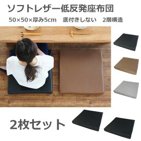 楽天市場 座布団 大きめの通販