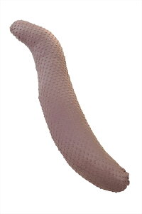  킽 115x20 S^ WFm rXL yVA V[[ |R|R Y 􂦂  NbV   тy g Jo[ Zbg ܂ Dw }^jeBv