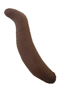  킽 115x20 S^ WFm rXL yVA V[[ |R|R Y 􂦂  NbV   тy g Jo[ Zbg ܂ Dw }^jeBv