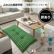 【ポイント10倍★スーパーSALE】【訳あり品】 アウトレット 長座布団 ソファ パッド 厚手 57x100x7cm お…