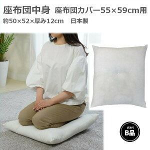 【訳あり品】アウトレット 座布団中身 銘仙判 55x59cm用 少し傷 汚れあり 日本製 厚め ポリエステルわた 法要 法事 業務用 飲食店 居酒屋 ホテル 旅館 まとめ買い
