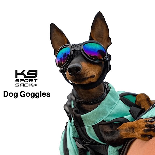 愛犬の目を安全に保つサングラス登場！！ K9スポーツサック サングラス K9 Sport Sack K9 Sport Shades - Dog Goggles 犬用サングラス 丈夫 調整可能 アウトドア