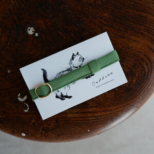 OnddokaiIfJjLɂ₳Rbg/{ȂyTea greenz { Lp L̎ L ˂ lR  y LpJ[ lRObY t@bV y S݌v LƂ