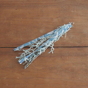 OnddokaiIfJjL̂ ͂z̔L炵(pp[c) Lp ˂ lR  XgX ^s Vѓ lV 炵I` 킢 { 