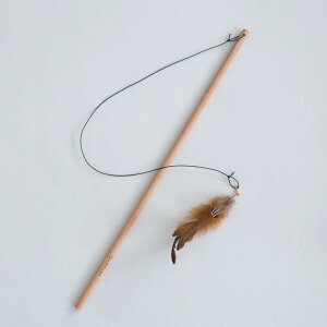 OnddokaiIfJjL̂ Feather L炵 Lp ˂ lR  XgX ^s Vѓ lV 炵I` 킢 { S S