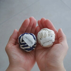 OnddokaiIfJjL̂ [v{[TOY 2set Lp ˂ lR  XgX ^s Vѓ lV [v{[ I` 킢 { S S 