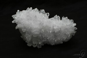 yeԐNX^[ ElȎY@561gzy[֕szNX^[ t[ NX^[ VR p[[Xg[ (򉻃ACe  p[X|bg fBXvC CeA)