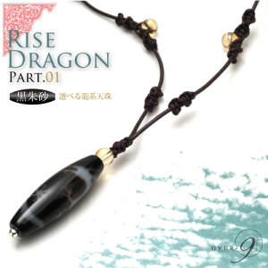 鍻VyRISE DRAGON@V삪Iׂ`[J[@-part01- zVR p[[Xg[ Ӗ  V Vg K^(ANZT[ vЂ vR U[ vRlbNX y_g  v