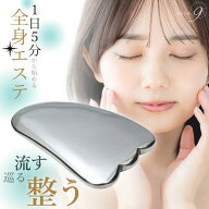 エントリーで☆★全品ポイント10倍★☆彡 OVER-9 テラヘルツ かっさ プレート 羽根型 90mm テラ鉱石 テラ…