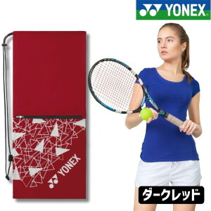 ヨネックス テニスバッグ 2本 ラケットバッグ」の人気商品一覧・価格 