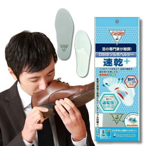 DSIS\{wV[{tC\[ Ռz y܂T|[g ^R}΍ h~ ΕPA A[`ی Jy rWlXV[Y ʋ ʊw C\[ C ~  