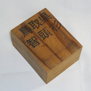 H̐mށFqi挧YjnmTCYF50×68×30mmn