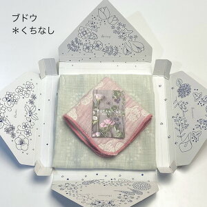 nJ`Mtg {^jJ K[[nJ` 2 Zbg  KN sN Ȃ O[ Ԃǂ p[v u[x[ u[ bsO  { ~j^I i  