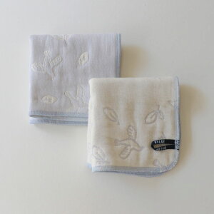 K[[nJ` {  K[[ s[X Ɨt u[ sN 25cm [vt 킢 K[[ n Iuu ۈ牀 ct  肪Ƃ bɂȂ܂ Mtg j̎q ̎q ov