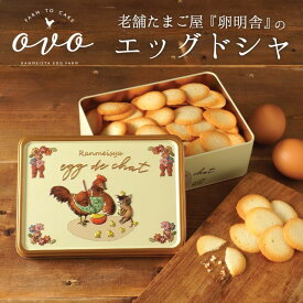 楽天市場 クッキー おしゃれの通販