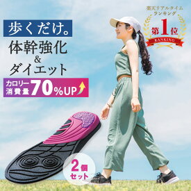 ダイエット インソール 中敷き ダイエット 姿勢 インソール O脚 ウォーキング 衝撃吸収 カロリー消費 体幹トレーニング 履くだけ エクササイズ 簡単 体幹筋 体幹筋エクサインソールツインボール 2個セット インナーマッスル インソール 鍛える