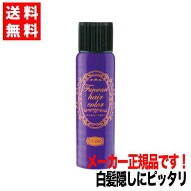 楽天市場 ヘアカラースプレー メンズの通販