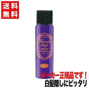 ヘアカラー スプレー 白髪染めの人気商品 通販 価格比較 価格 Com