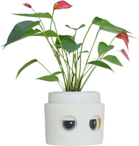 Pet Pot ybg|bg v^[ A  ƒ؉ | K[fjO ϗtA Aؔ 킢 v^[ ACYvX 킢Aؔ k͔| y ^   r