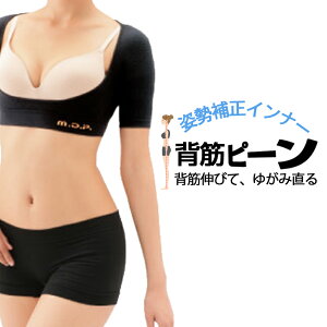 쎮 y Lw w Lwxg w؋xg Xgb` Ci[ xg   w؋ xg  j  w؃T|[^[  xg ɂ a炰 