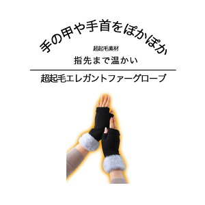  NуGKgt@[O[u  |J|J ڃIV ΍ h t@bV  fB[X h ~ O[u  X}z  t@[t wI[v w