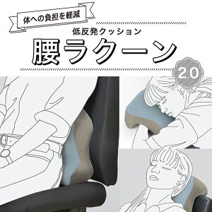 ᔽNbV NbV ֎q ItBX  ^] ֎qp 􂦂 ᔽ zc p fXN[N CXpNbV 傫 傫 K ԂƂ  ֎q ItBX[N  v[