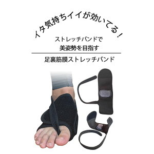  T|[^[ Xgb` ֐ߒ T|[^[ EH[LO  ɂ    ؖ oh  oX A[` T|[g  p ŃJ[ _CGbg g[