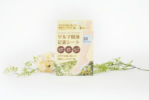 V[g  V[g  t Q}t Q} tbgPA t bNXV[g XbL  ObY ނݑ΍ pp΍   h   h1146@Q