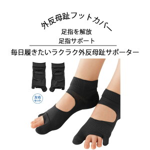 O  OT|[^[ OtbgJo[ \bNX C T|[g ɂ݃PA  T|[^[ {  ew Oe[sO T|[^[ T|[^[ 