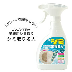 7日までP2倍！ カーペット 布製品のシミ対策 酸素の力で強力 シミ取り 染み しみ取り剤 業務用シミ取り 業務用シミ取り 中性シミとり ファブリック用 子供 ペット カーペットにシミ しみ抜き しみ 汚れ スプレー 拭き取り不要 簡単 放置 シミ取り シミ取り名人