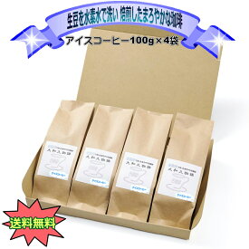 アイスコーヒー 100g×4袋 スペシャル アイスブレンド レギュラー 珈琲 コーヒー 美味しい アイス スッキリ コク 本当に美味しいアイスコーヒー