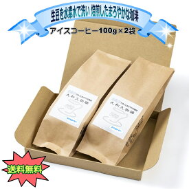 アイスコーヒー 100g×2袋 レギュラー 珈琲 コーヒー 美味しい アイス スッキリ コク 本当に美味しいアイスコーヒー