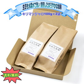 キリマンジャロ 100g×2袋　レギュラー コーヒー 水素水で洗った生豆を焙煎したこだわりの珈琲　最後の1滴までおいしい　プレゼント　贈り物　ギフト　まろやか　スッキリした酸味　程よい酸味　苦くない　水素水　香り豊か　こだわりコーヒー
