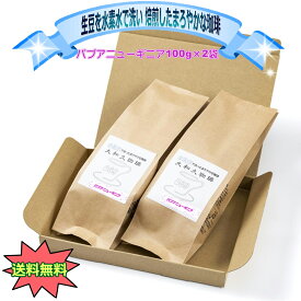 パプアニューギニア 100g×2袋 レギュラー コーヒー 水素水で洗った生豆を焙煎したこだわりの珈琲　 こだわり珈琲　最後の1滴までおいしい　プレゼント　贈り物　ギフト　まろやか　コク深い　水素水　香り豊か　こだわりコーヒー