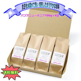 パプアニューギニア 100g×4袋 レギュラー コーヒー 水素水で丁寧に洗い焙煎した　特殊技法　こだわりの珈琲　特別な珈琲　　送料無料　プレゼント　贈り物　自分用　冷めても美味しさそのまま　最後まで美味しさそのまま　香り豊か