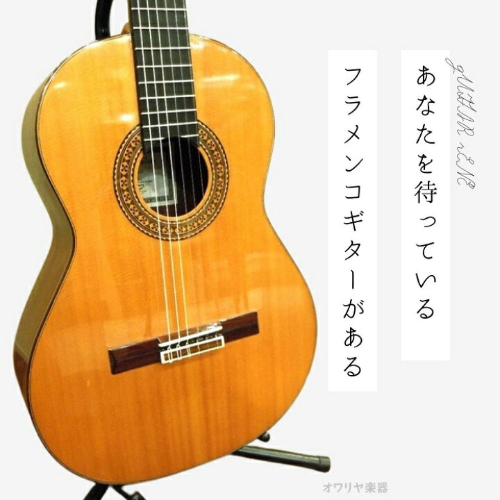 楽天市場】フラメンコギター／スペイン製 レネ・アギレラ : おかげ様で 