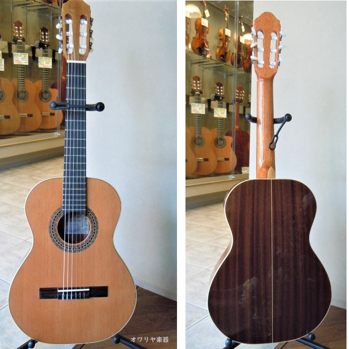史上一番安いショートスケールクラシックギター570mm シダー単板・エボニー指板 スペイン製 小型ギター 専用ハードケースセット ギター 