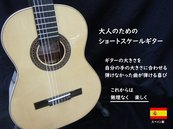 楽天市場】ショートスケールクラシックギター ハードケースセット 