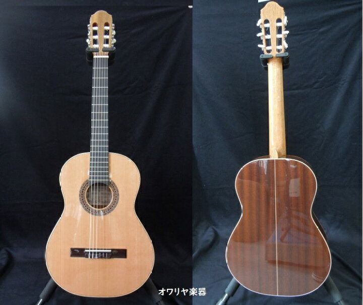 楽天市場】ショートスケールクラシックギター610mm シダー単板 