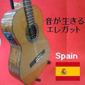 エレガットギター/エレクトリック・クラシックギター　Manuel Fernandez スペイン製