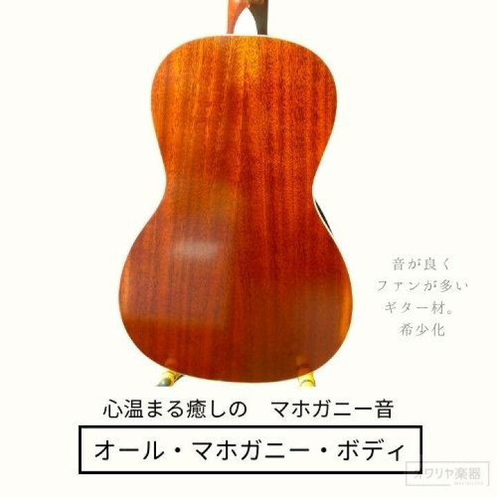 楽天市場】アコースティックギター 小さい小型ミニ ショートスケール 